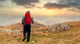 Curated Itineraries