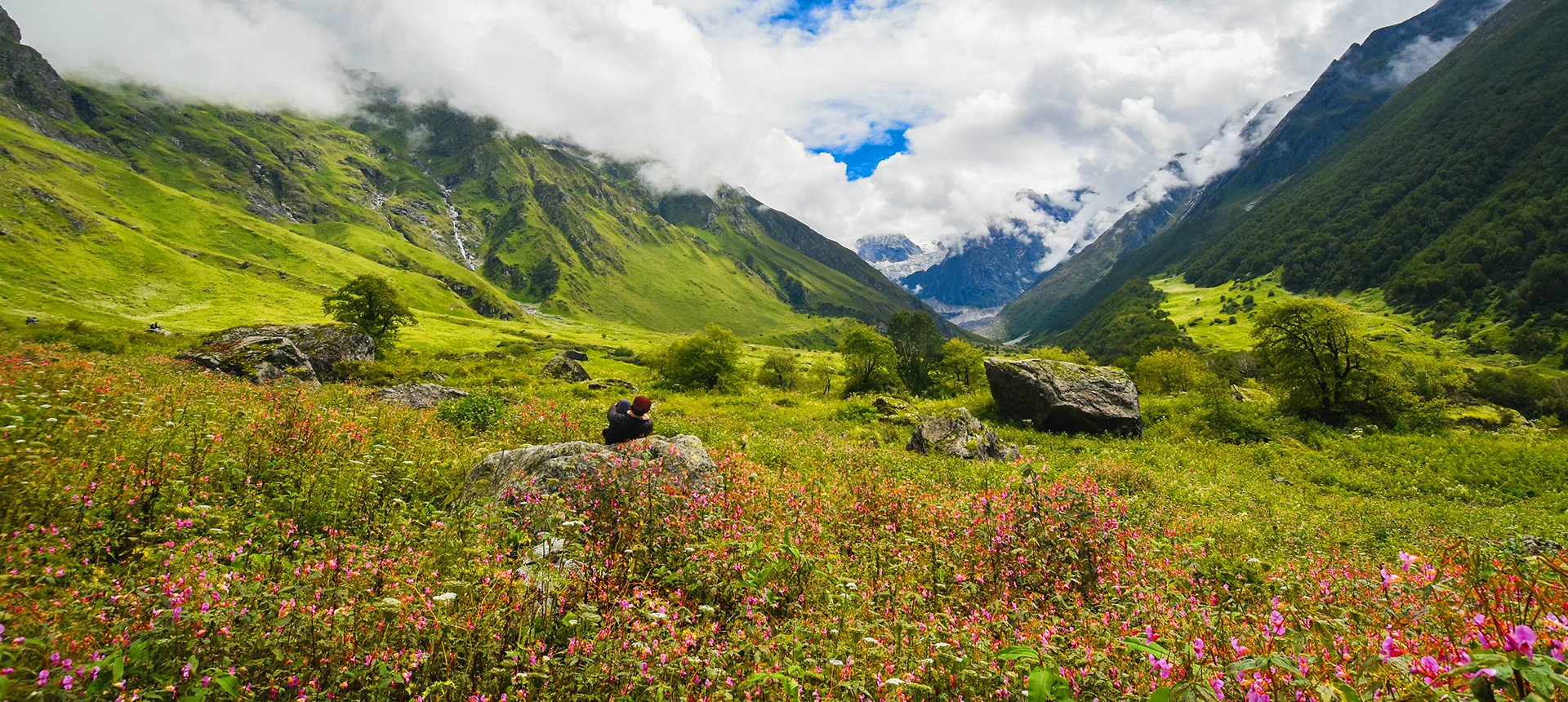 Valley Of Flowers